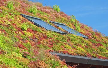 Anstruther Easter living roof systems