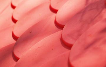 Anstruther Easter plastic roof costs