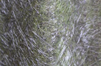 Anstruther Easter fibreglass roof work